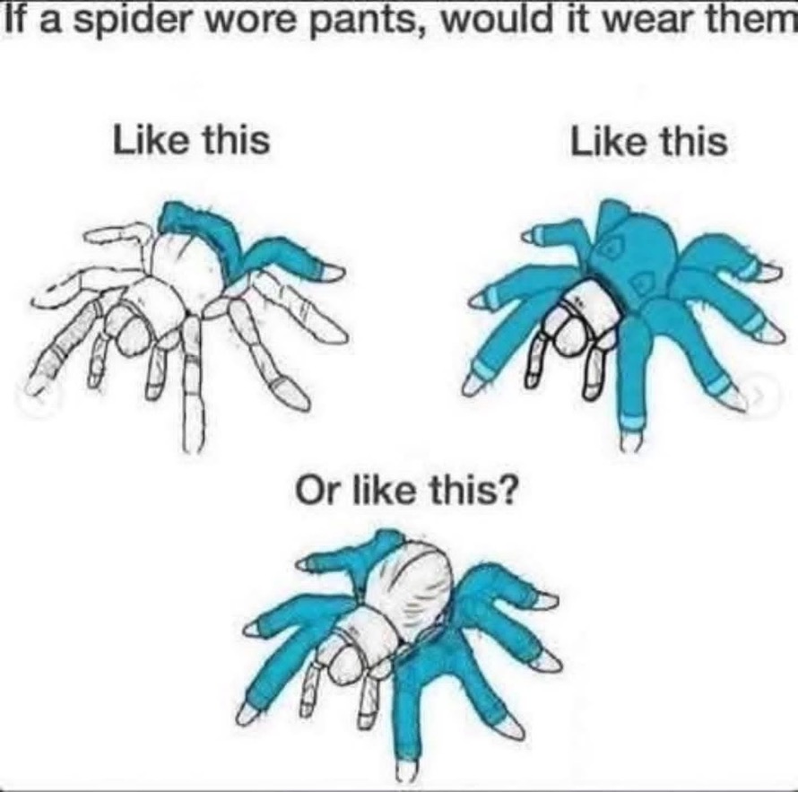 Final Guys tweet media