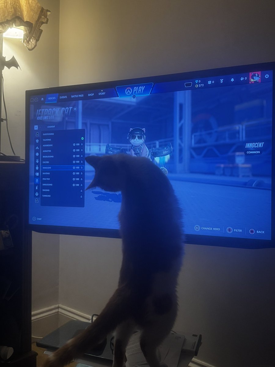 MaffyTeacake's tweet photo. @PlayOverwatch jetpack cat has a fan in this house! (And yes, Beans is an orange tuxedo 🤣) https://t.co/TCFCUFOtng