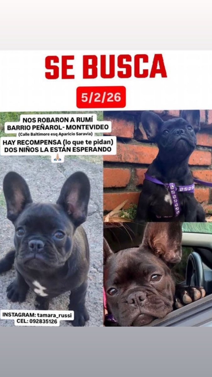 Not_A_de_la (@adelitanumero2) on Twitter photo 