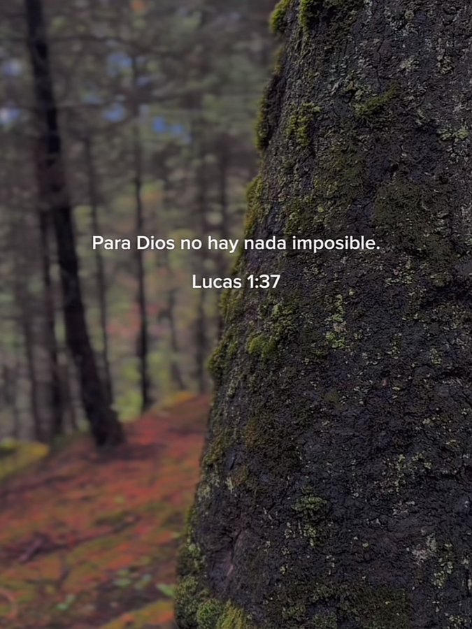 ojoalcielo_'s tweet photo. https://t.co/c9HMomYFoG