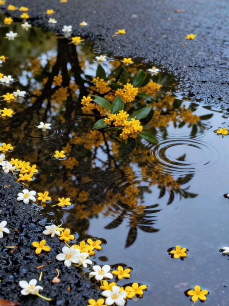 greenvibe's tweet image. 