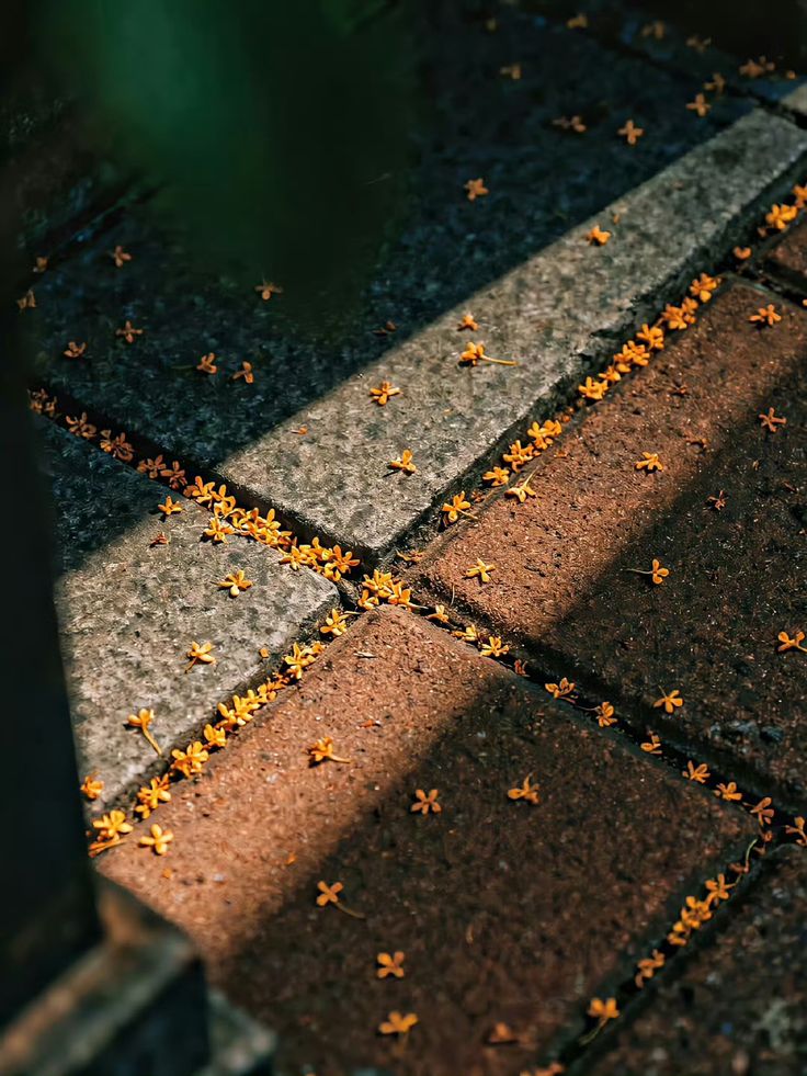 greenvibe's tweet image. 