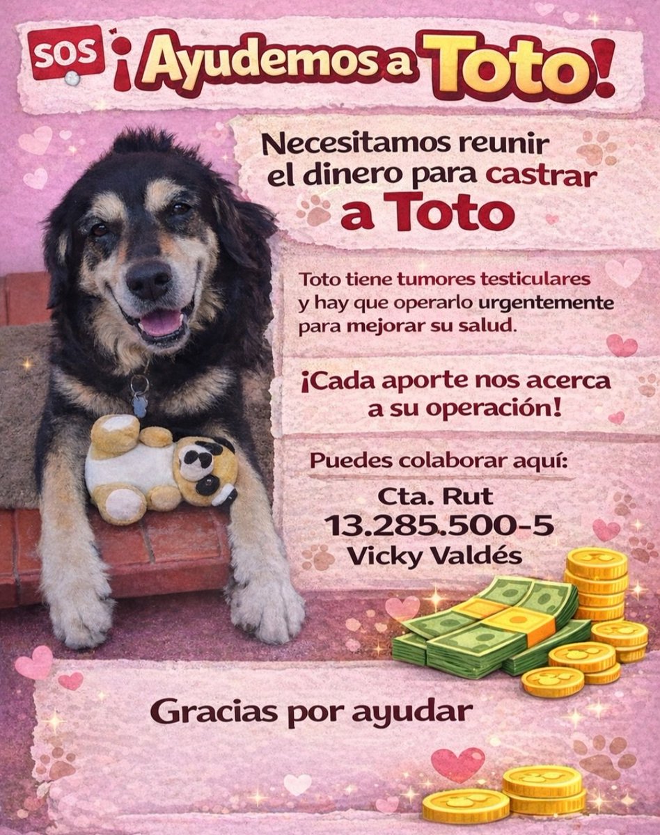 Caro_isa_V's tweet image. 🆘️Ayudemos a #Toto!!
Perrito comunitario de 13 años💖🐾
#PuenteAlto

Ayúdenme a difundir🙏, y se agradece a los que quieran colaborar 💰🐾