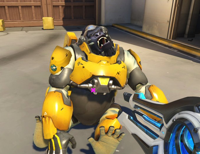 OWAnonymous_'s tweet image. 