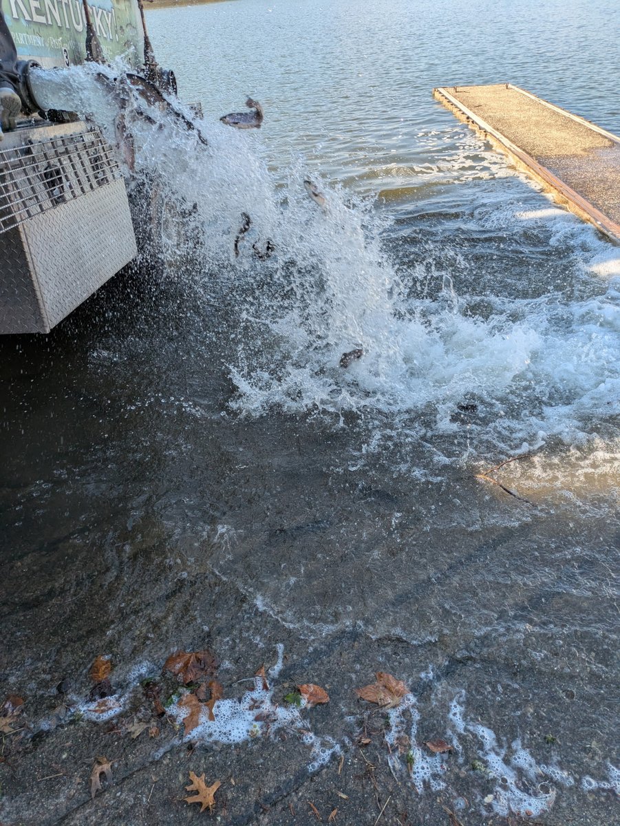 E Fisheries tweet media