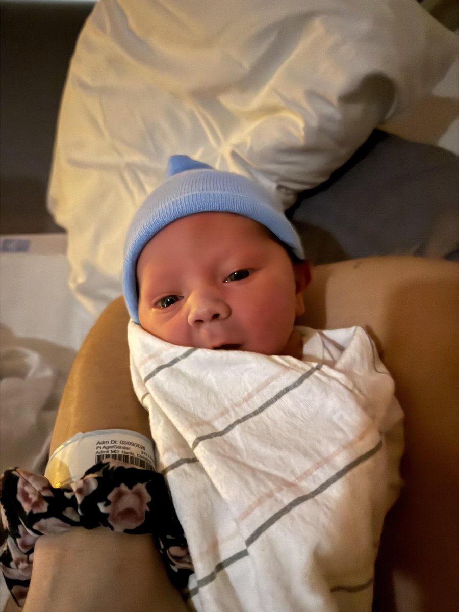 Bailey Schober | Men’s Fitness & Nutrition Coach tweet media