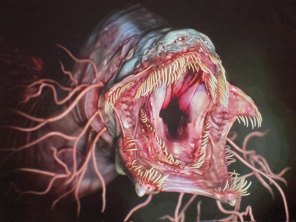 Deadlymelodic tweet media