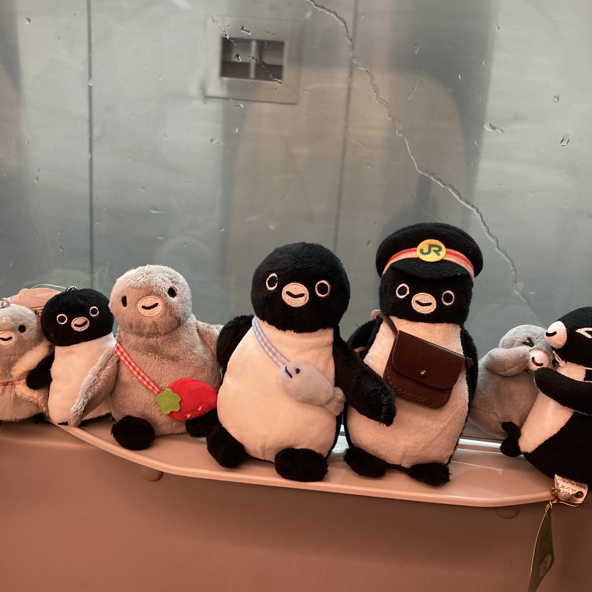 #みなさんの列車内写真を見せてください