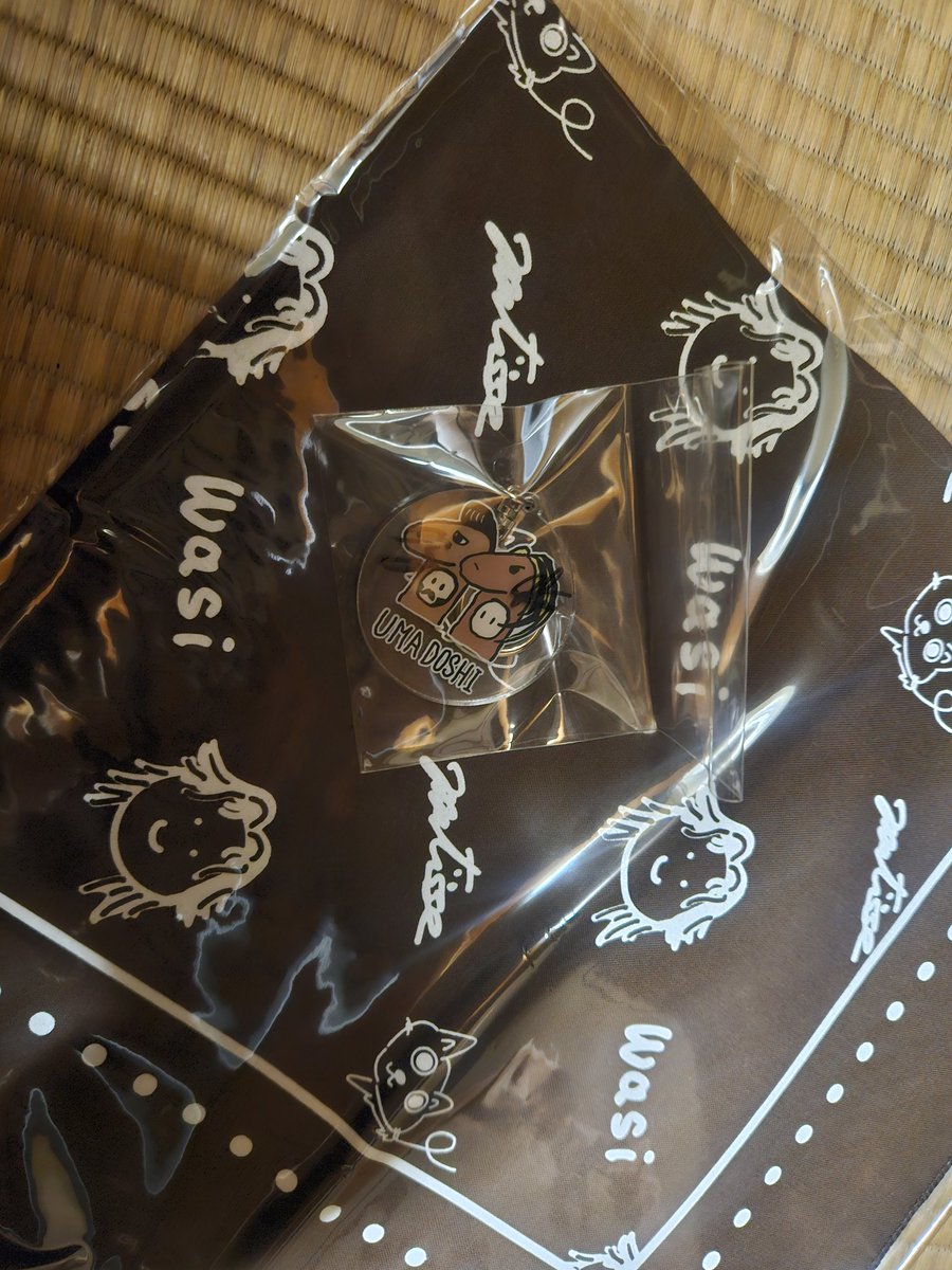 kayokayopanna's tweet photo. 距離もグッと近くて背筋が伸びる思いの会場の雰囲気とずっと緊張だったけど 最近ずっと思ってた事 ひくんに話したら それを横で聞いてたわさんが 直接言って貰えるのは嬉しいよな 昔から沢山聞いてくれてるんやねって言ってくれて 嬉しかった🥲  #fivenewold  #WASILA https://t.co/1wAxYpSv4Q
