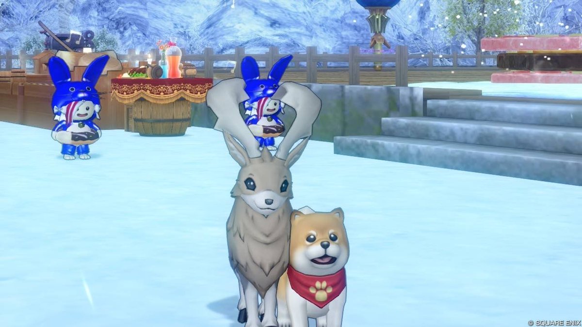 皆さんがわん公の写真UPしてるので私も！と思ったらコレしかなかったww