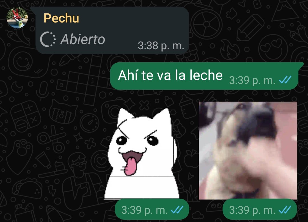 Blomi mostrándome como le quedó