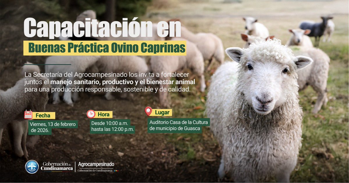 CundinamarcaGob's tweet photo. #Guasca será la sede de la capacitación para fortalecer el sector ovino-caprino, con énfasis en sanidad animal, bioseguridad y productividad sostenible. La jornada está dirigida a productores, técnicos y actores del sector pecuario interesados en mejorar sus prácticas y competitividad.