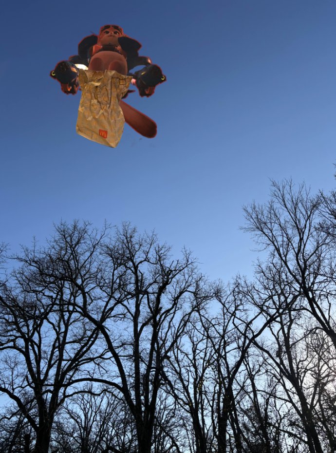 i just ordered drone food delivery for the first time but this is not what i was expecting