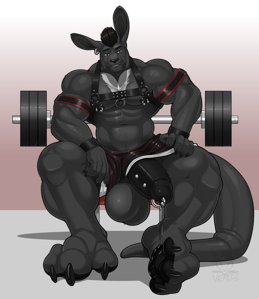🦘Seff - Larger Than Your Average Roo tweet media
