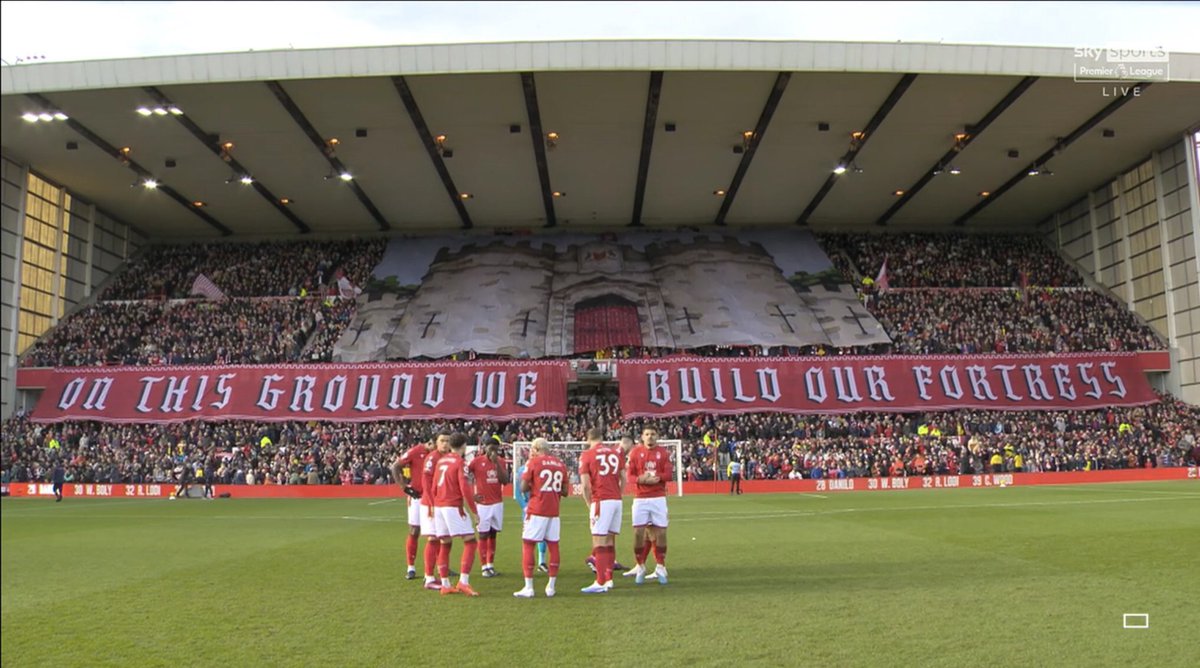 James Ross 🌳⭐️⭐️ tweet media