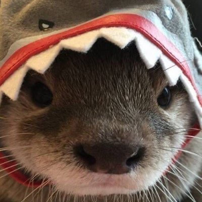 RARE BANGER GOON STREAM

Come now 

Kick.com/mintpod2