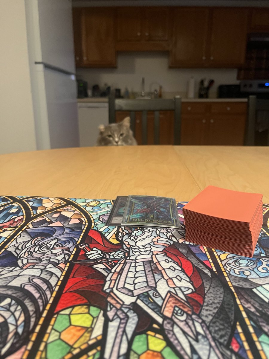 TitanJosh_'s tweet photo. This is my round 1 opponent. Am I cooked? https://t.co/rqgJRNbho3