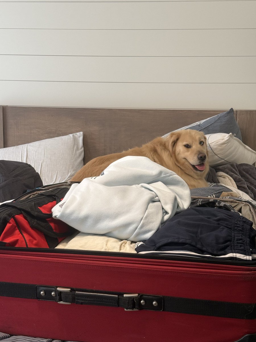 “I don’t know where you’re going, but you can you at least bring me food when you come back?”