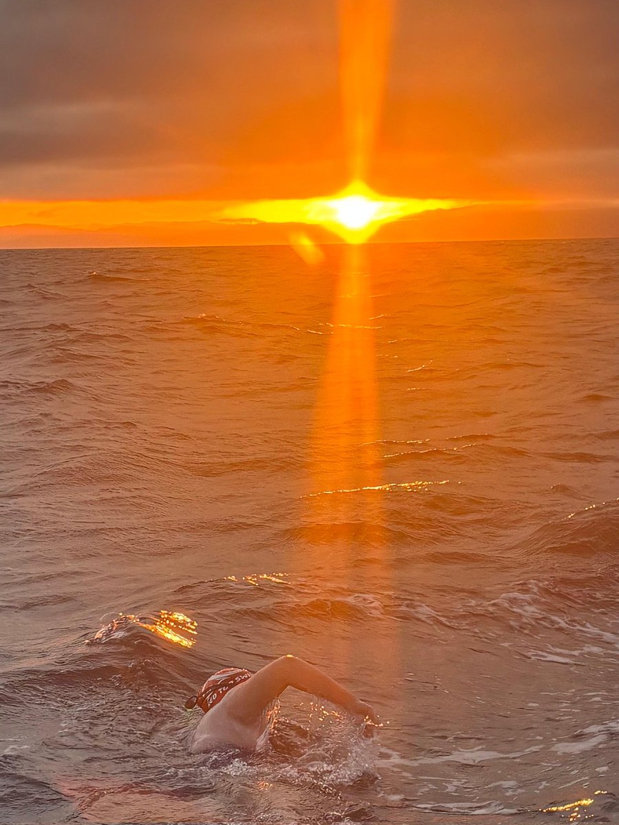 RedTopSwim tweet media