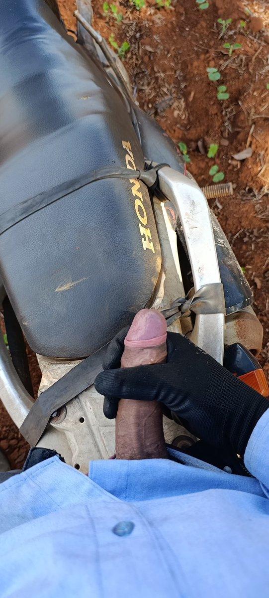 Lion (@sr_li0n) on Twitter photo 