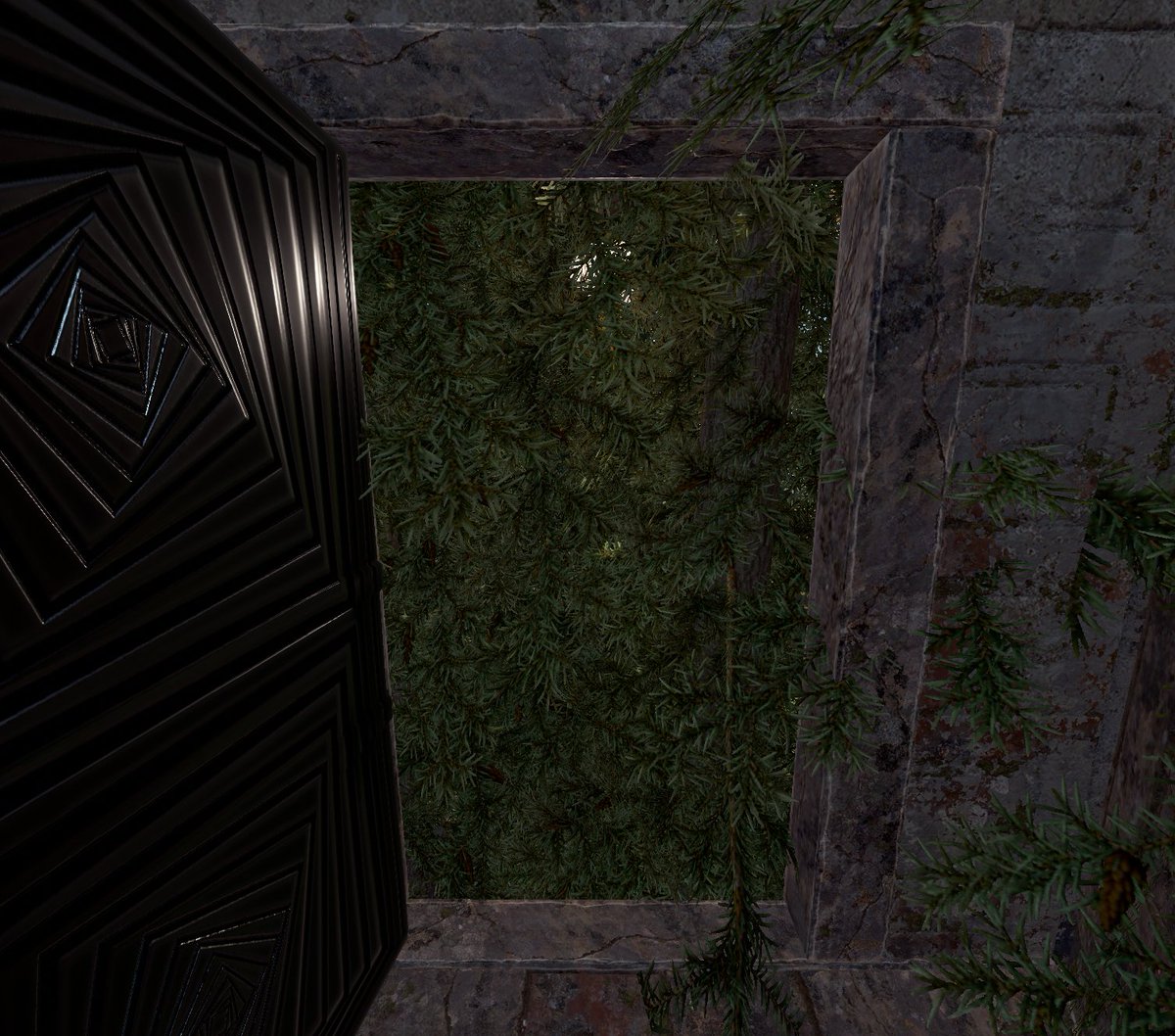 Love the view out my front door~ ✨🌲