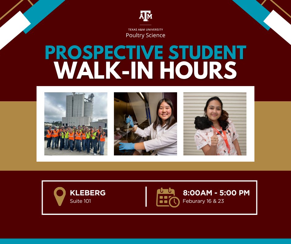 TAMU Poultry Science tweet media