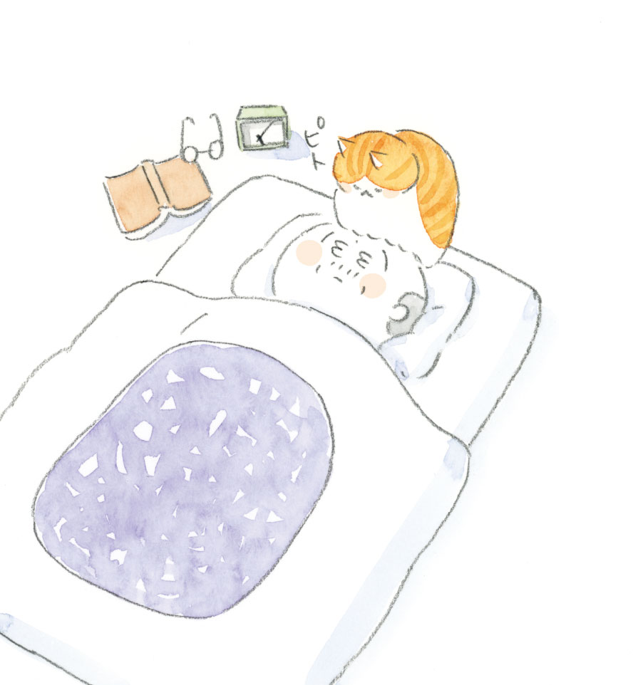 ねこまき倉庫 (@nyanta_mikan) / Posts / X