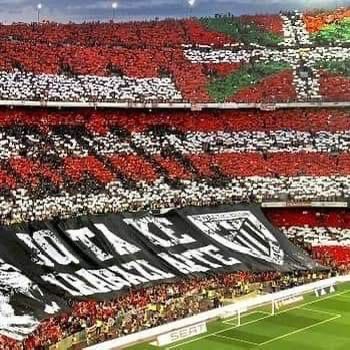 Me duele decirlo, pero no nos merecéis 

Nos dejamos la voz, nos dejamos los cojones

Ni sudáis, ni os dejáis los cojones

 No duele la derrota, duele que no salga ni un ápice de orgullo