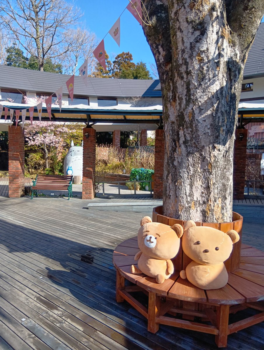 カナヘイ #カナヘイの小動物 #伊豆テディベアミュージアム #ピスケと