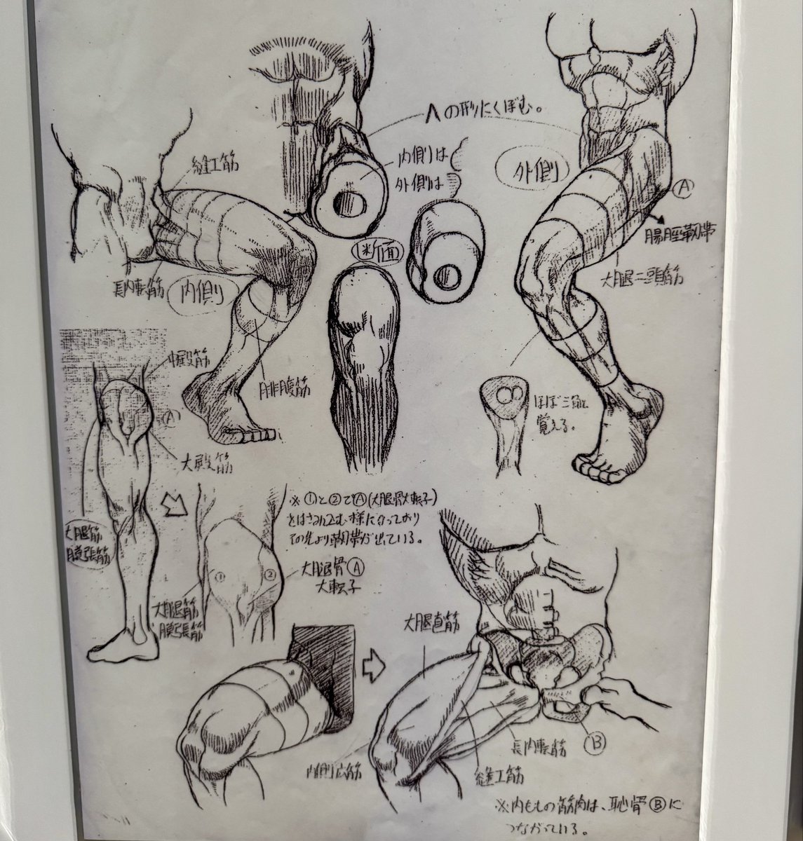 Capcom has an internal anatomical drawing manual passed down to artists to ensure characters capture the “essence of Capcomness.” Someone is thinking about the accuracy of Ryu’s femur.

We take you inside Tokyo’s Capcom exhibit in the latest podcast: tokyogamelife.com/episode/videov…