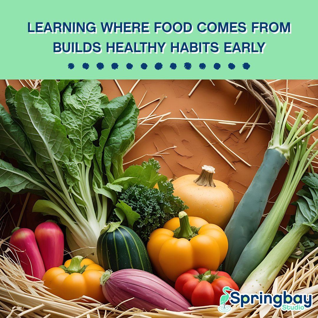 Springbay Studio tweet media