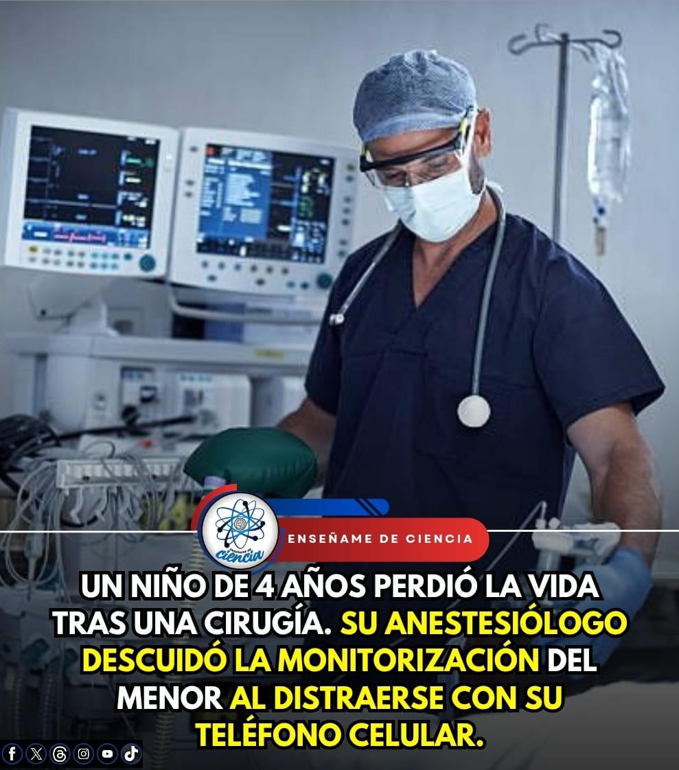 Enséñame de Ciencia tweet media
