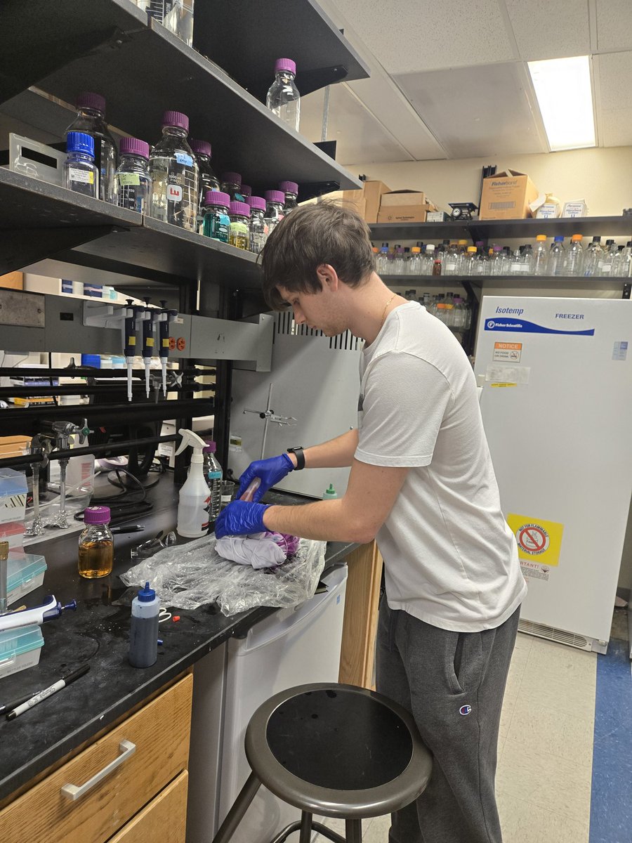 Manesis Lab tweet media