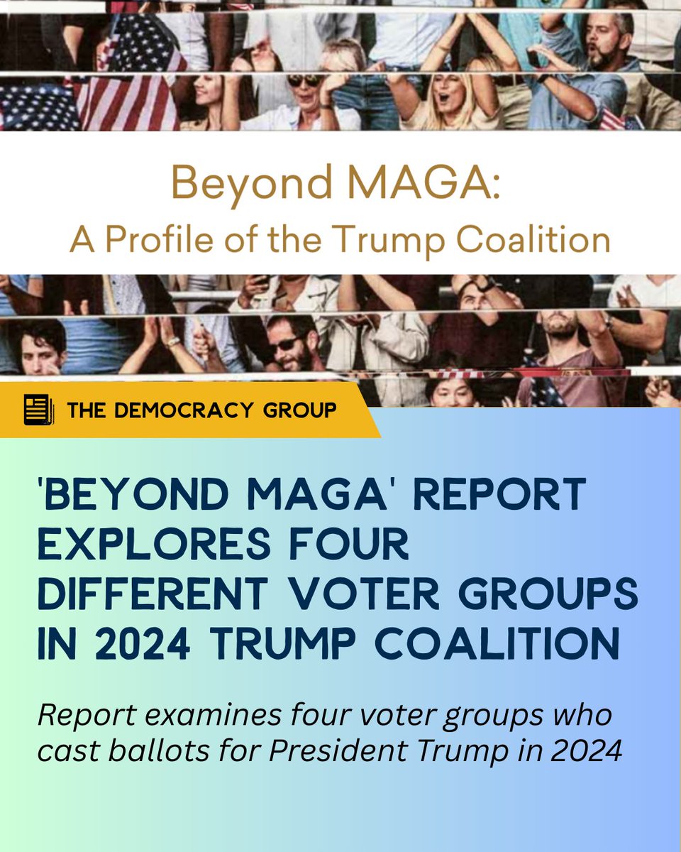 The Democracy Group tweet media