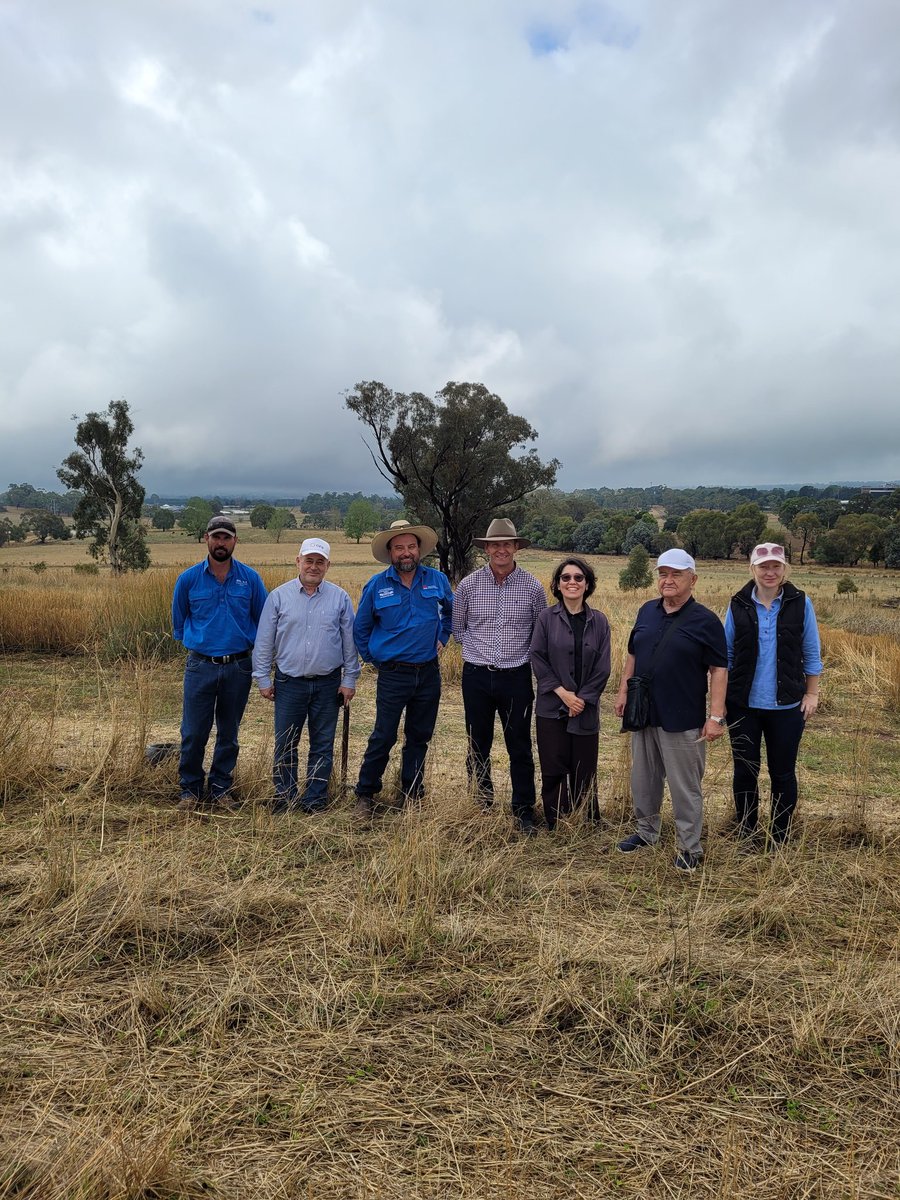 NSW Pastures tweet media