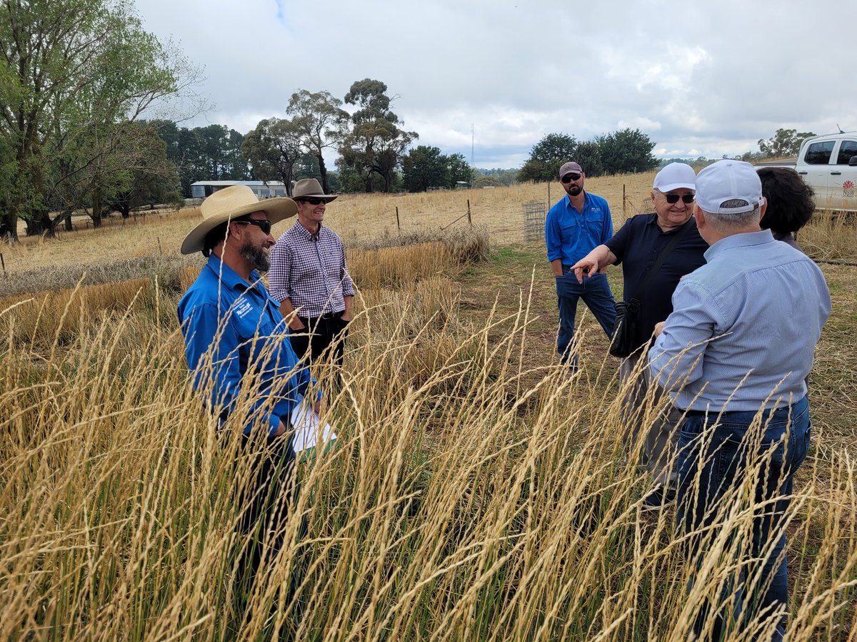 NSW Pastures tweet media