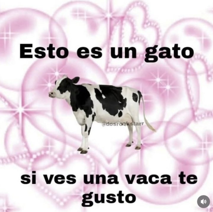 Miguel Ramirez .G (@miguelrg206) on Twitter photo 