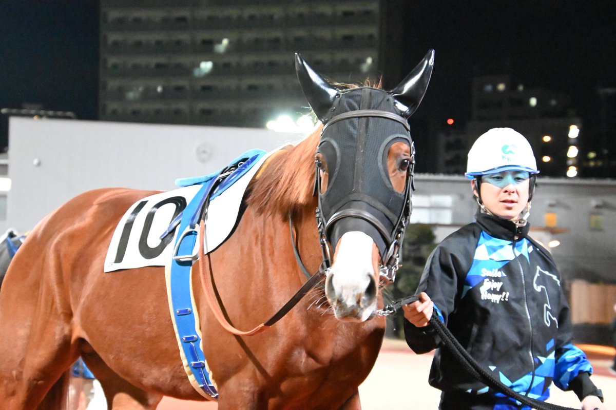 2026.2.2 12R #スワッガー #川崎競馬