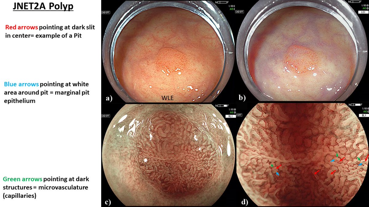 Robert Bechara tweet media