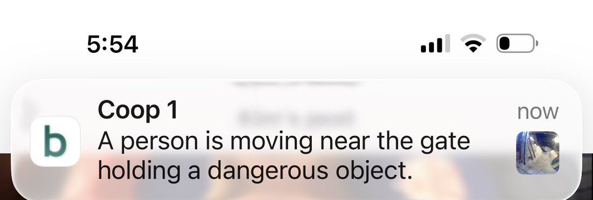 Kim Ring tweet media