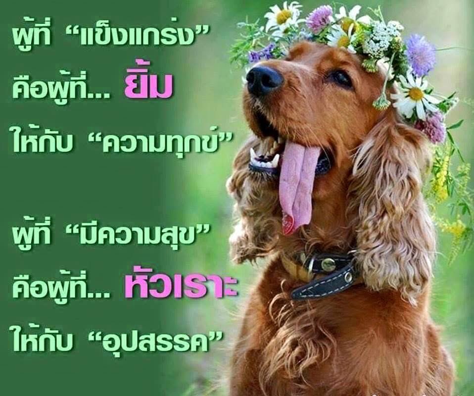 krit_onewayguy's tweet photo. อ่านจบ แล้ว สบายใจ https://t.co/U2LLKv6Mjm