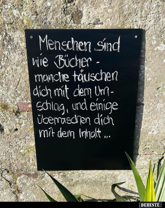 sigrid_seeger's tweet photo. 🤗 https://t.co/gz5Krbq0lC