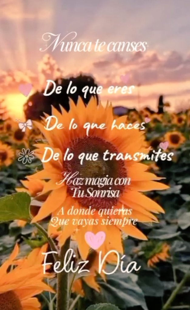 Fernando Galo 🇲🇽 (@fernand66579067) on Twitter photo 