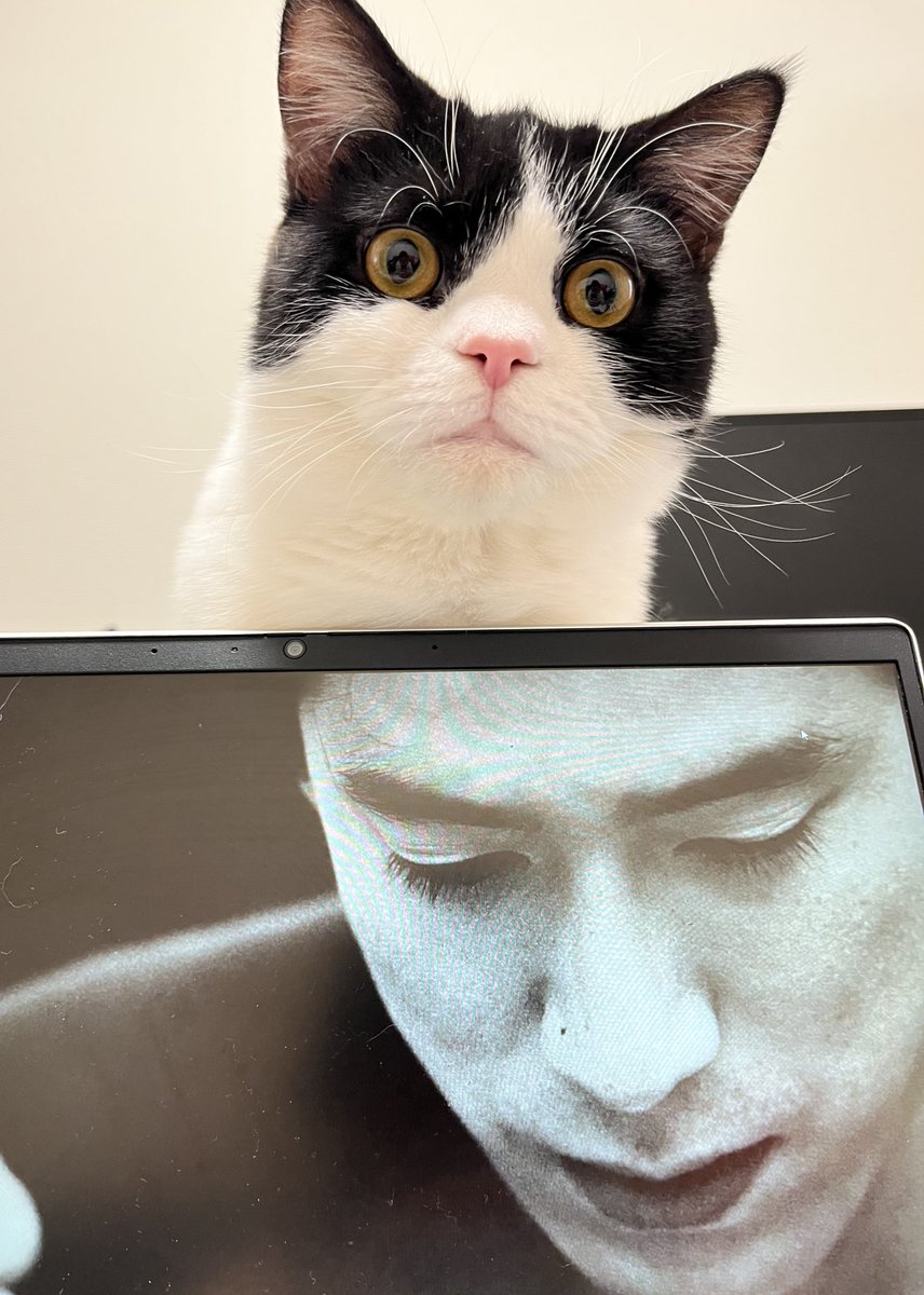 もも🍑 (@nicky_momo0522) / Posts / X