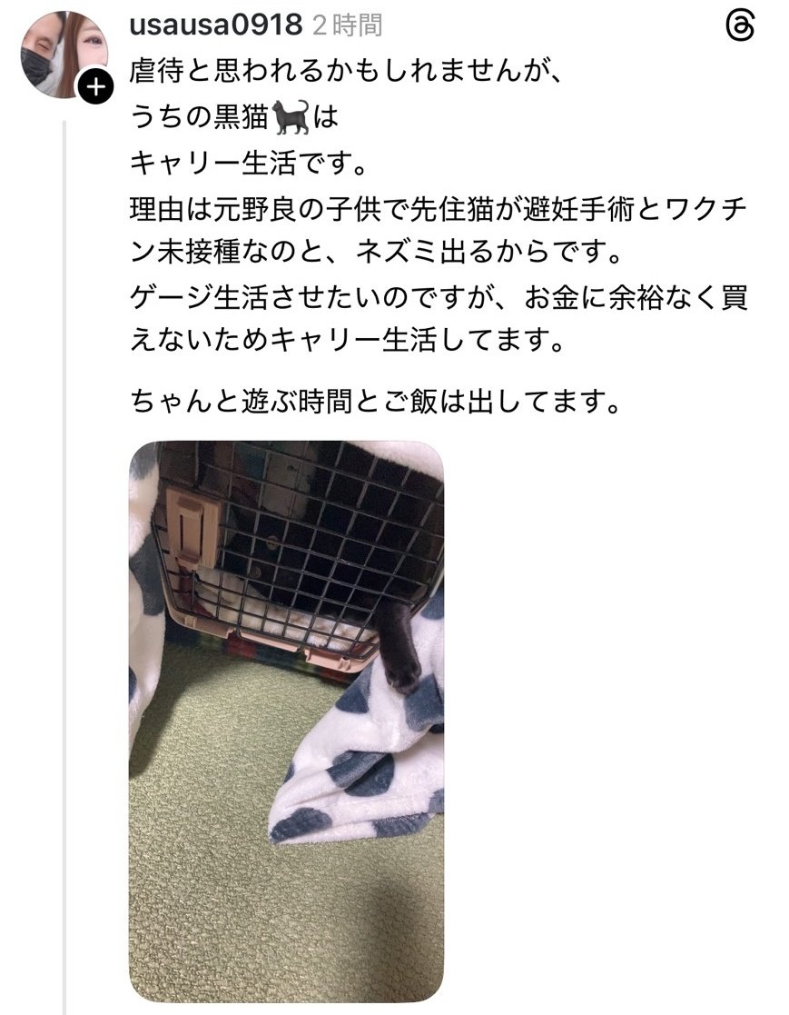 思いっきり虐待
飼い主ガチャ大ハズレ