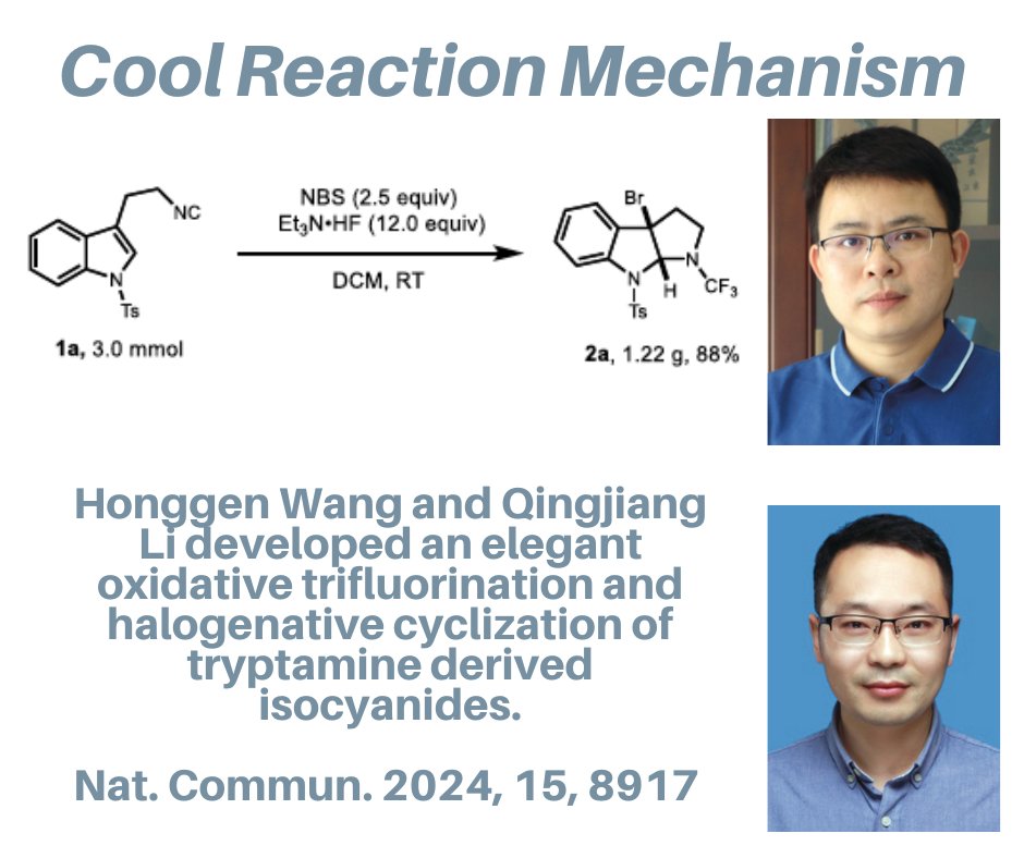TambarLab tweet media