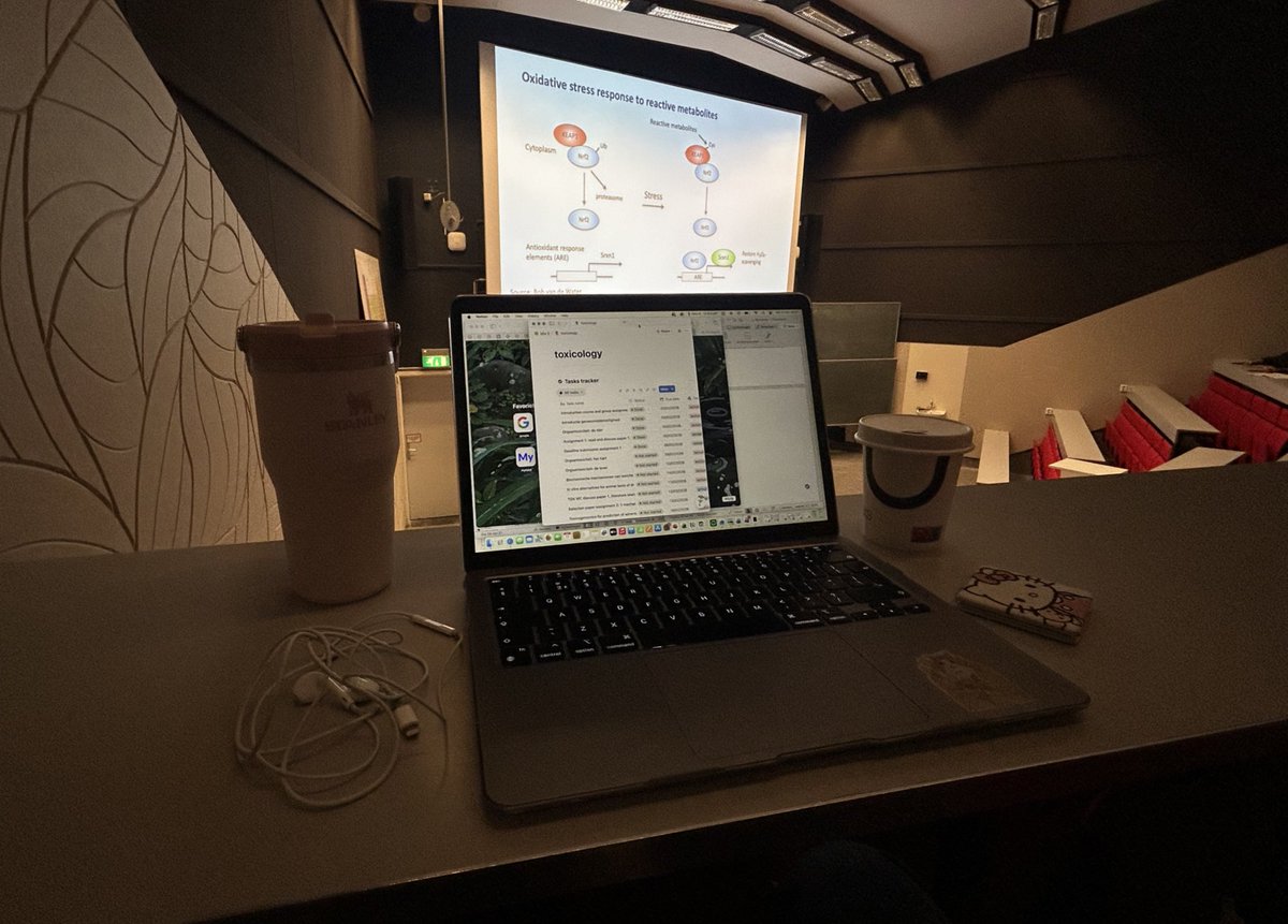 blueyukiakari's tweet image. 🔁