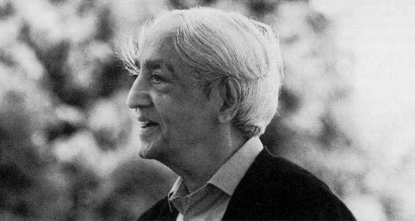 “It is very important to go out alone, to sit under a tree—not with a book, not with a companion, but by yourself—and observe the falling of a leaf, hear the lapping of the water, the fishermen’s song, watch the flight of a bird, and of your own thoughts as they chase each other