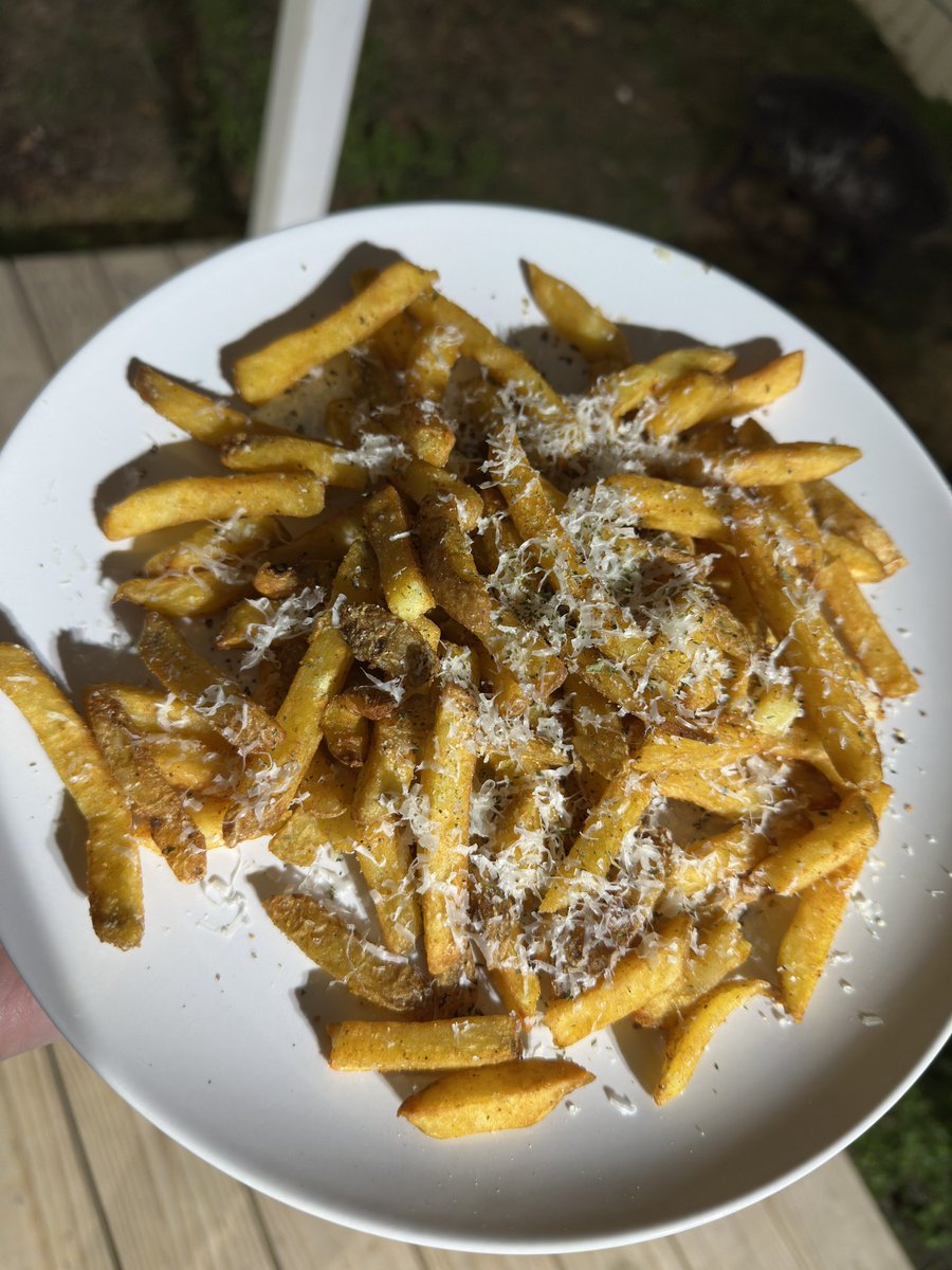 girl dinner 
these garlic truffle fries went insane 😩