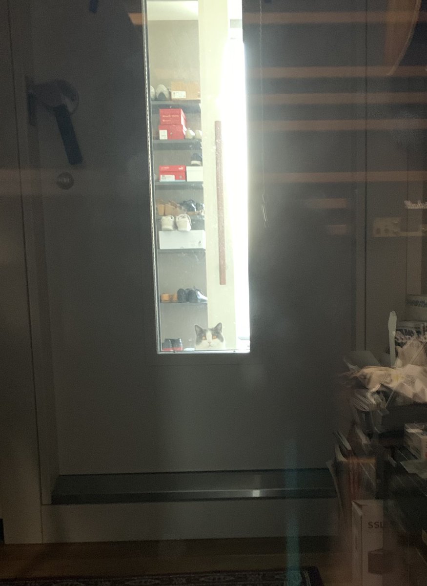 渡辺和紀　（watanabe kazunori) tweet media